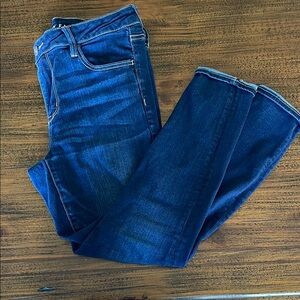 American Eagle Outfitters Blue Straight Leg Jeans